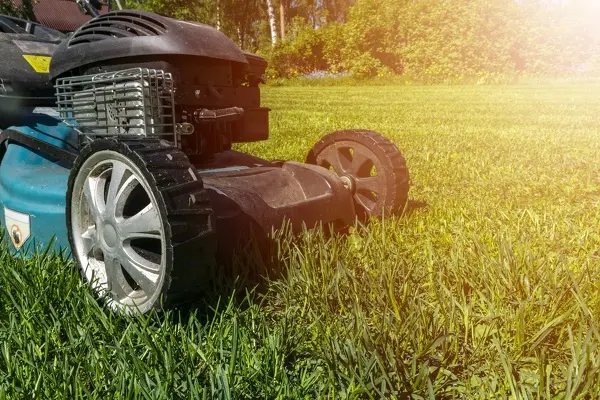 Can You Mow Wet Grass in Santa Maria, CA