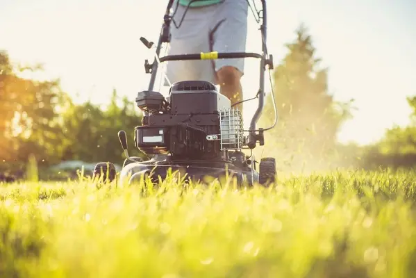 Can You Mow Wet Grass in Santa Maria, CA