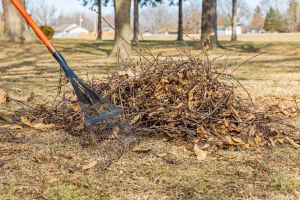 How to Clean a Backyard in Santa Maria, CA