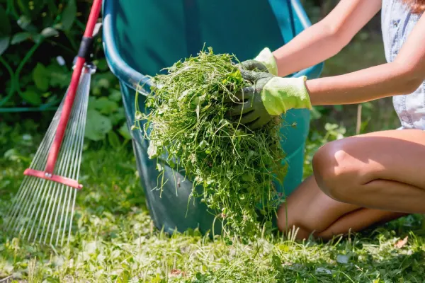 How to Clear a Yard Full of Weeds in Santa Maria, CA