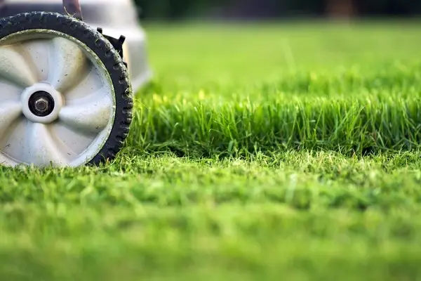 How to Mow a Lawn in Santa Maria, CA