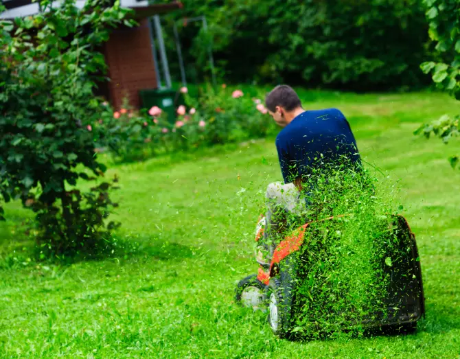 Lawn Mowing in Santa Maria, CA