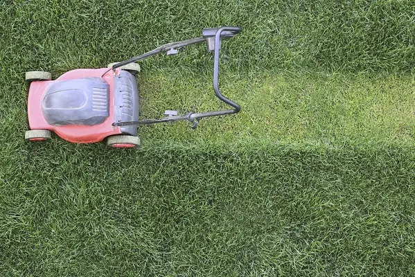 Lawn Mowing in Santa Maria, CA