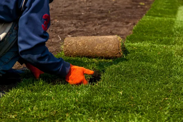 Quality Sod Installation in Santa Maria, CA