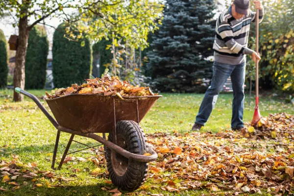 Quality Yard Cleanup in Santa Maria, CA