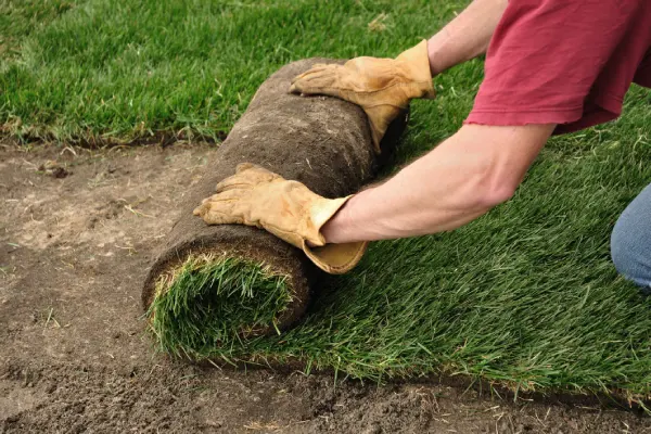 Sod Installation in Santa Maria, CA