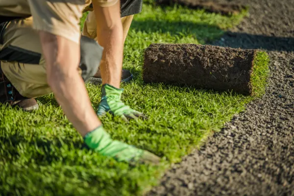 Sod Installation in Santa Maria, CA