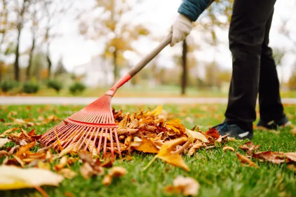 Yard Cleanup in Santa Maria, CA